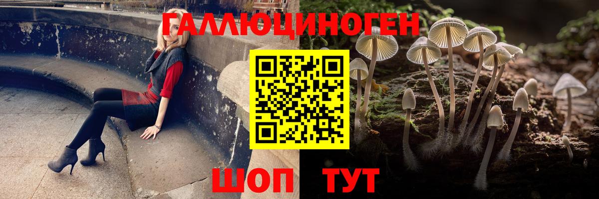 Псилоцибиновые грибы мухоморы  Псилоцибиновые грибы мухоморы  Каменск-Шахтинский  Вход с VPN 